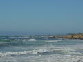 Pebble beach1