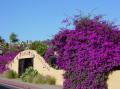 San Diego1