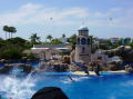Seaworld San Diego 1