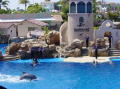 Seaworld San Diego 2