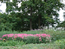 Hluboka 11