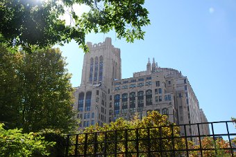 DSC_0524.JPG