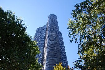 DSC_0530.JPG