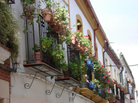 Calle Armas