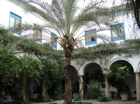 Palacio Viana 2