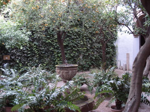 Palacio Viana 4