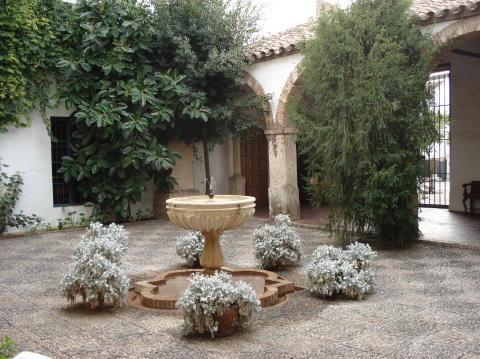 Palacio Viana 5