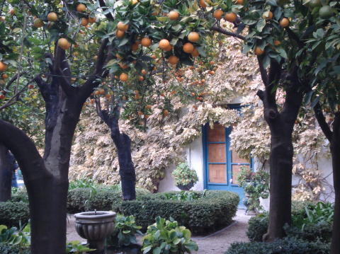 Palacio Viana 17