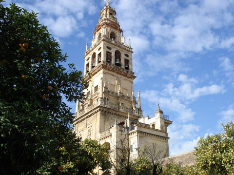 Mezquita Catedral Minaret 4