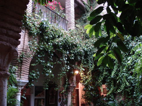 Maison arabe 12e siecle 4