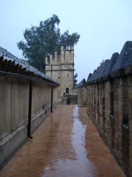 Alcazar 6