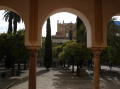 Mezquita Catedral 16