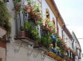 Calle Armas