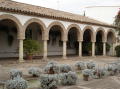 Palacio Viana 15