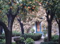 Palacio Viana 17