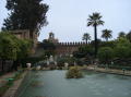 Alcazar 12