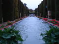 Alcazar 15