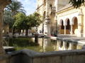 Mezquita Catedral - Cour des Orangers