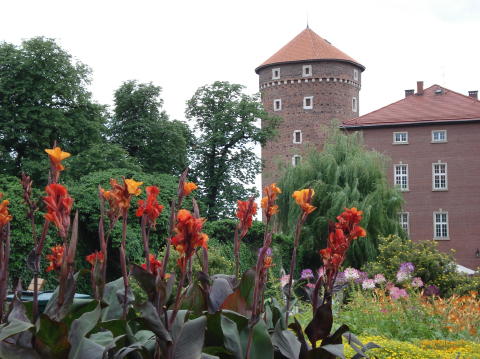 Chateau Wavel 2