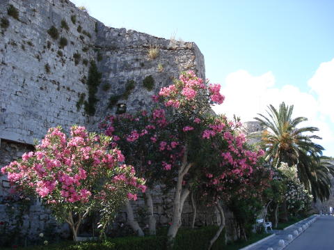 Korcula 20