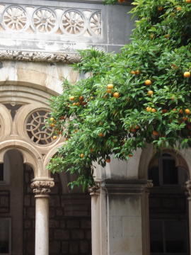 Dubrovnik 75