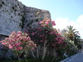 Korcula 20