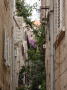 Korcula 3