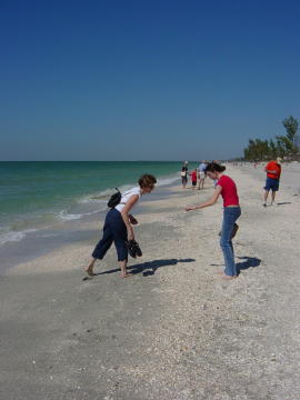 Sanibel Island 2