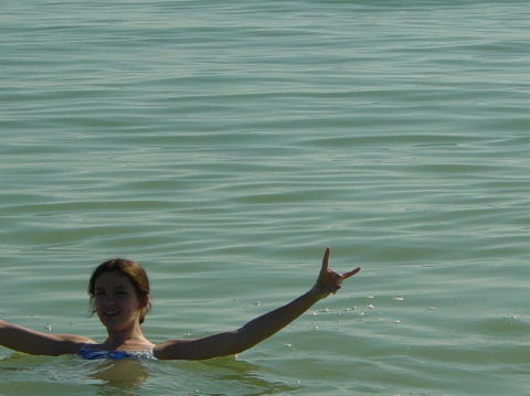 Sanibel island 33