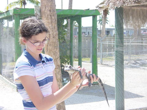 Alligator farm 5