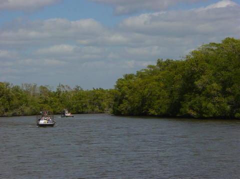 Airboat ride 1