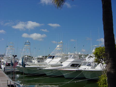 Miami Beach 13