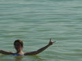 Sanibel island 33