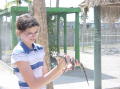 Alligator farm 5