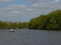 Airboat ride 1