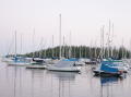 Coconut Grove 2