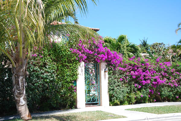 Palm Beach 3
