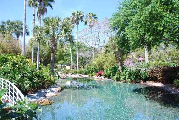 Sea World 41