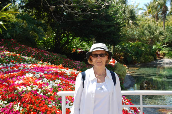 Sea World 43