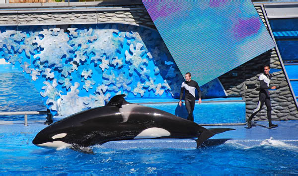 Sea World 54