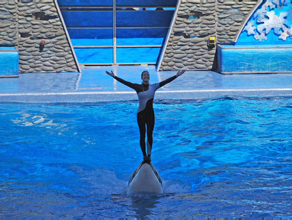 Sea World 57