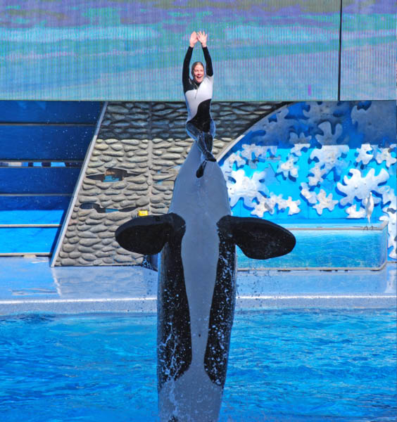 Sea World 60