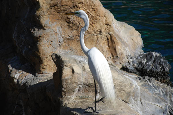 Sea World 67
