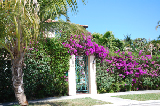 Palm Beach 3