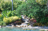 Sea World 40