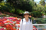 Sea World 43