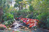 Sea World 45