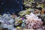 Sea World 48