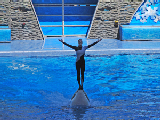Sea World 57