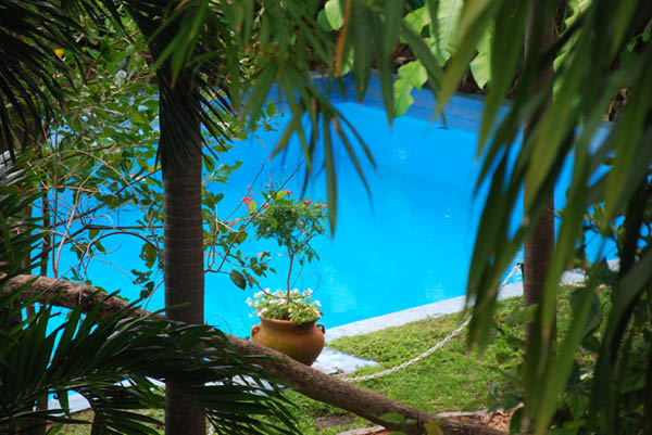 Hemingway home 8